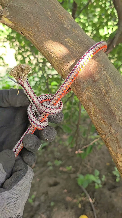 Easy Rope Trick That Works Fast #tricks