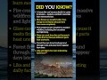 Terrifying Fire Facts Most People Don’t Know 🔥#viral