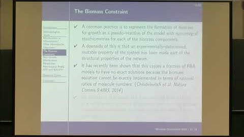 David Fell | Issues in Flux Balance Analysis