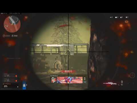【PC版WarZone】負けるチーター