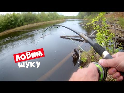 Ловля Щуки На Живца И Спиннинг С Берега.Рыбалка На Урале Река КакваCatching Pike On Live Bate