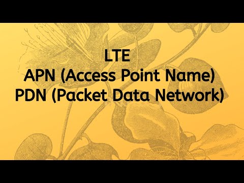 LTE APN  | PDN | SDF | Default/Dedicated Bearer