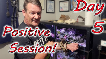 🩸5-  Ending This Session on an POSITIVE NOTE with the Sri Lankan Python!