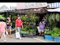 [4K] 2020 Walk around "Chatuchak Flower and Plant Market" under lockdown, Bangkok