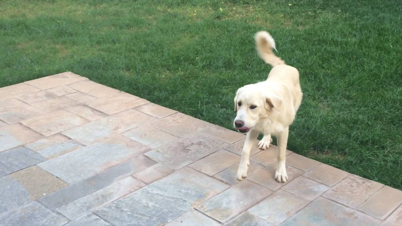 Ο Ηρωας Επιτελους παιζει με την προσωρινή του αδελφουλα τη Σενκα