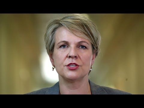 Tanya Plibersek is ‘no friend to Victoria’