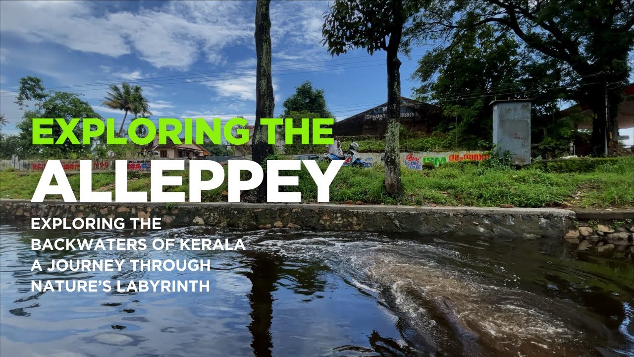 Kerala Chronicles: A Dance of Scenic Dreams | Rohit Raghuwanshi