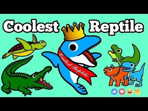 Mosasaurus meets Cool Modern Reptiles! | Learn Traits of Modern and Prehistoric Reptiles