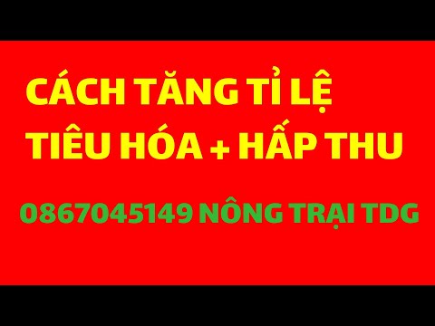 Video: Tỷ lệ hấp thụ có nghĩa là gì?