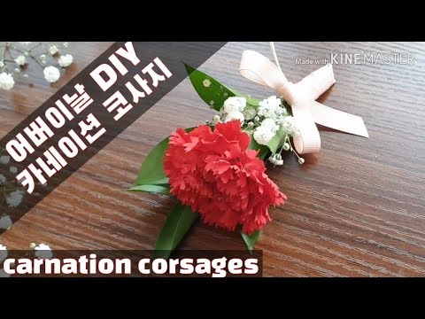 카네이션 코사지 만들기 Carnation Corsage DIY _ 어버이날 스승의날