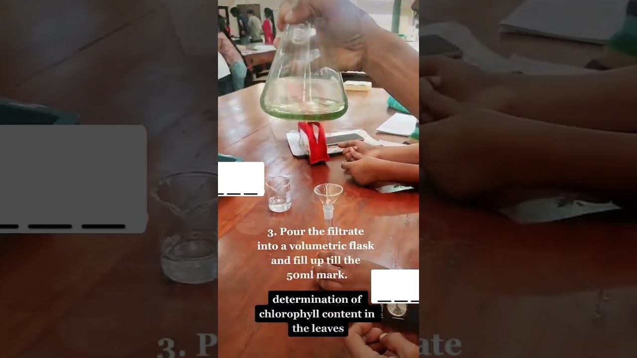 MEASURING CHLOROPHYLL CONTENT IN LEAVES USING SPECTROPHOTOMETER| PHOTOSYNTHESIS|PLANT PHYSIOLOGY