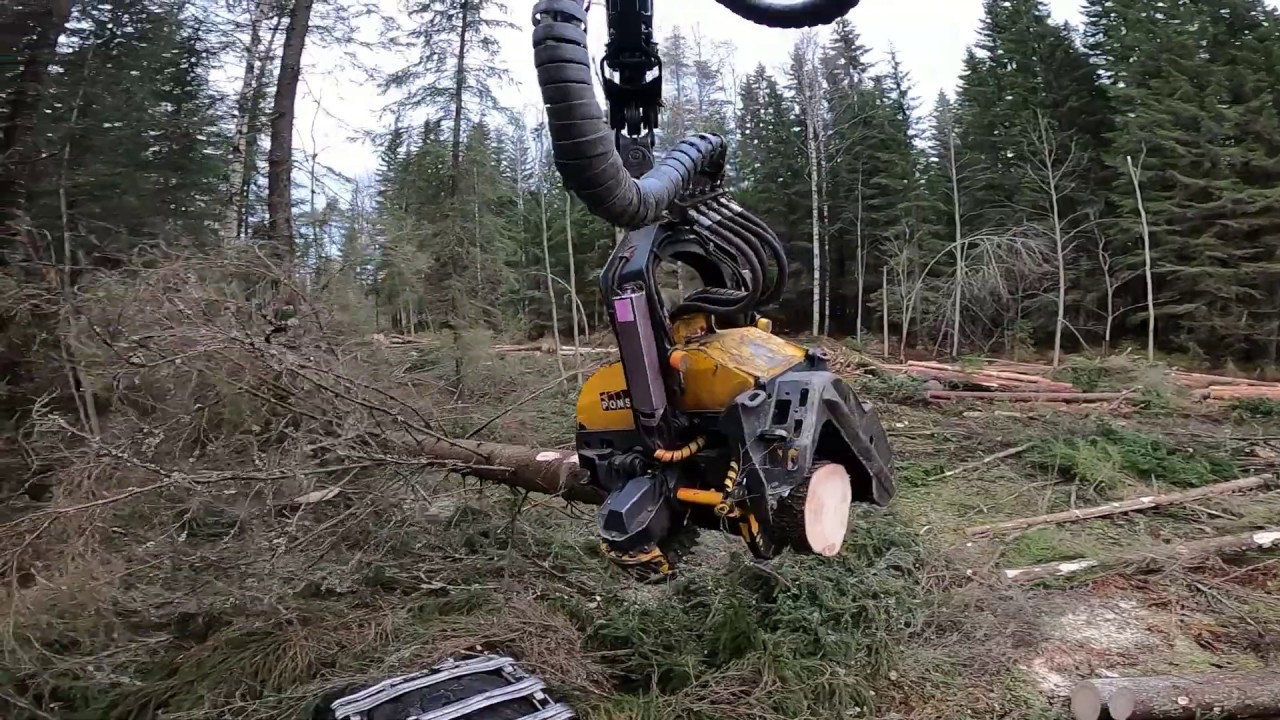 Avohakkuuta ja aita tarpeita isännälle latvoista. Ponsse Scorpion King H7