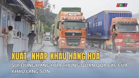 Sôi động hàng hóa thông quan qua các cửa khẩu Lạng Sơn | THLC