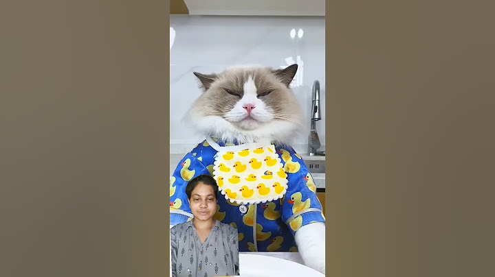 puff's frowning over his  pasta-just not enough ketchup!#ketchup#cute🥰#cat😽#video#munni Khan unique
