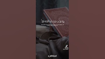 آيات بينات من سورة الجاثية #سورة_الجاثية #بسم_الله_الرحمن_الرحيم #قرآن_كريم #قرآن #ياسر_الدوسري