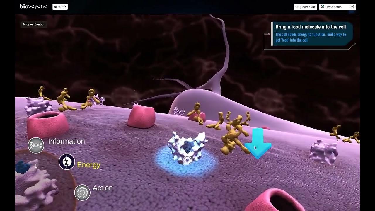 Tutorial Into the Cell (BioBeyond Unit 5) YouTube