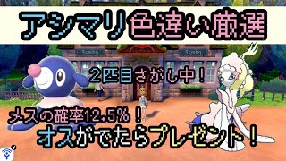 狙い色違い厳選 アシマリの色違いを連日引いていきたい ならプレゼント Youtube 狙い色違い厳選 アシマリの色違いを連日引いていきたい ならプレゼント Youtube