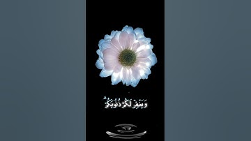 صباح الخير💙 اجمل حالات واتس اب🤍 مقاطع قصيره💙قران كريم سورة ال عمران🤍قل ان كنتم تحبون الله💙بدون حقوق