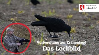 Krähenjagd: Wie wird das Lockbild gebaut?