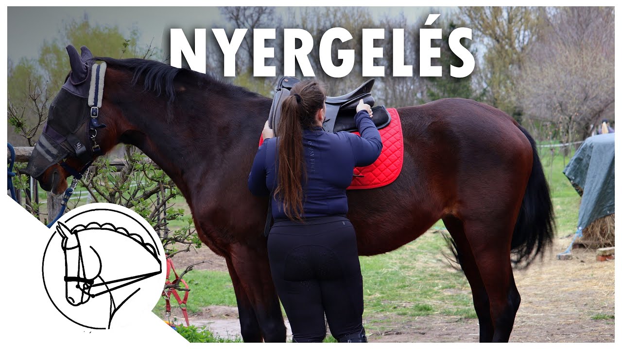 Lovak Nyergelése