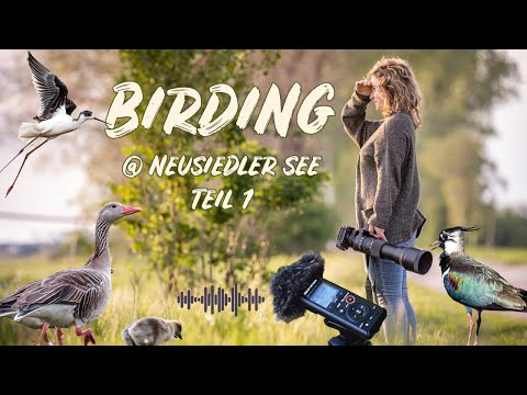 BirdExperience 2024 | Wildlifetour im Vogelparadies - Folge 1 (+Vorstellung/Aktion: OMSystem LS-P5)