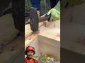 Loose Dovetail? Fix It Like a Pro Using Wedge Compression. #diy #woodworking