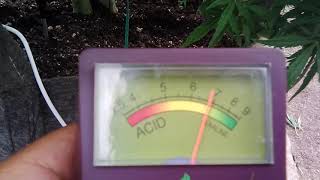 2019 Kali outdoor grow- how to check you soil's PH!¡