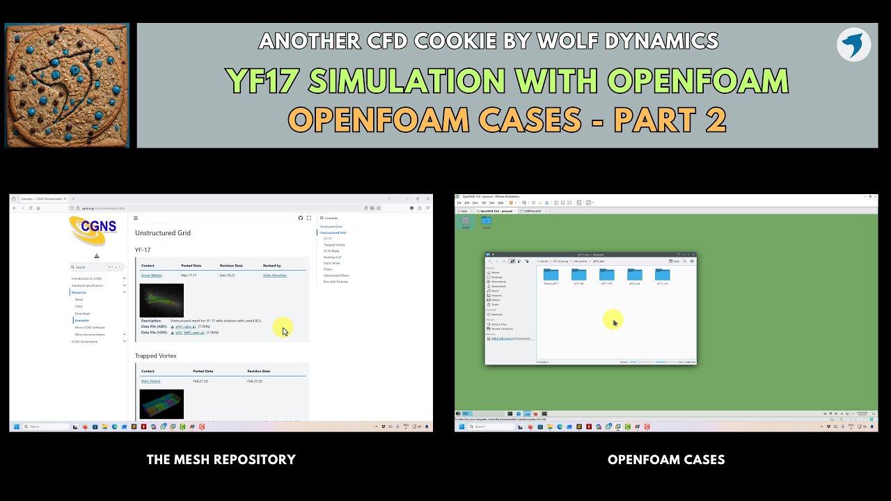 🍪 CFD cookie - YF17 CFD simulation - The OpenFOAM cases | Part 2 - YouTube
