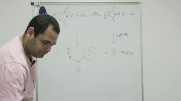 Gabriel Synthesis of Primary Alkyl Amines