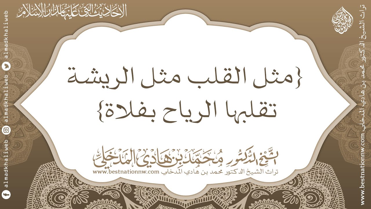 حديث مثل القلب مثل الريشة تقلبها الرياح بفلاة - الشيخ الدكتور محمد بن هادي المدخلي