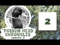 Possum head chronicles series 03 episode 02