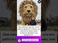 Он старался ,над ним смеялись #интересно #истории #люди #интересныефакты #жизненныеистории