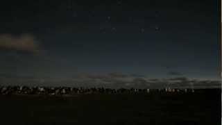 Nighttime Penguin Colony Time Lapse