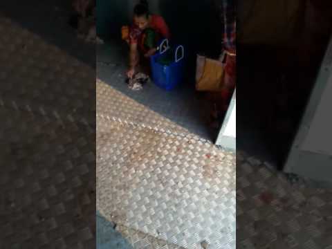 Aunty washing a fish in a mumbai local train so dirty