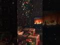 Mâine @StefanBanicaOfficial lansează piesa #CraciunFericit🎄🎁 #staytuned #newsong #newmusic