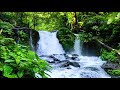 Keindahan Alam Air Terjun Musik Seruling Arab Dan Suara Burung Mp3 - Mp4 Download