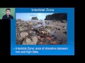 Exploring Marine Life Zones and Their Ecological Importance