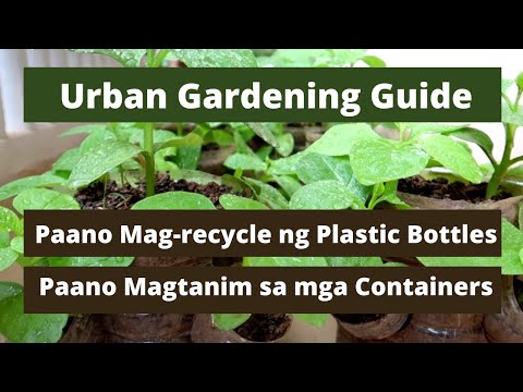 Video: Paano Mag-recycle Ng Mga Bote Ng Plastik