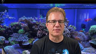 Lets talk about rising costs of aquarium equipment and livestock