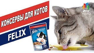 Корм для кошек Пурина Феликс | Обзор корма для кошек | Purina Felix cats food review Корм для кошек Пурина Феликс | Обзор корма для кошек | Purina Felix cats food review