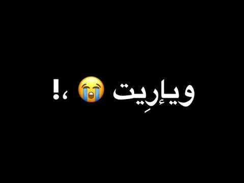 بديلك وردة و ياريت تاخديها مني فقير ولكن عمرك متلاقي زيي تصميم شاشة سوداء بدون حقوق