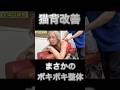 【ボキボキ整体】一度は体験してほしい整体がコレだ #整体 #ボキボキ整体 #shorts