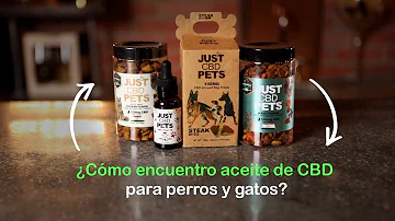 ¿Cuántas gotas de aceite de CBD para gato?