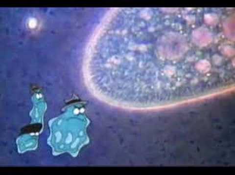 Amoeba coupon