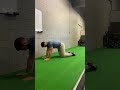 All Fours Rockback