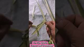 Gấp Lá Dừa Thành Cào Cào Đơn Giản | DIY Coconut Leaf Grasshopper #diy #handmade #craft
