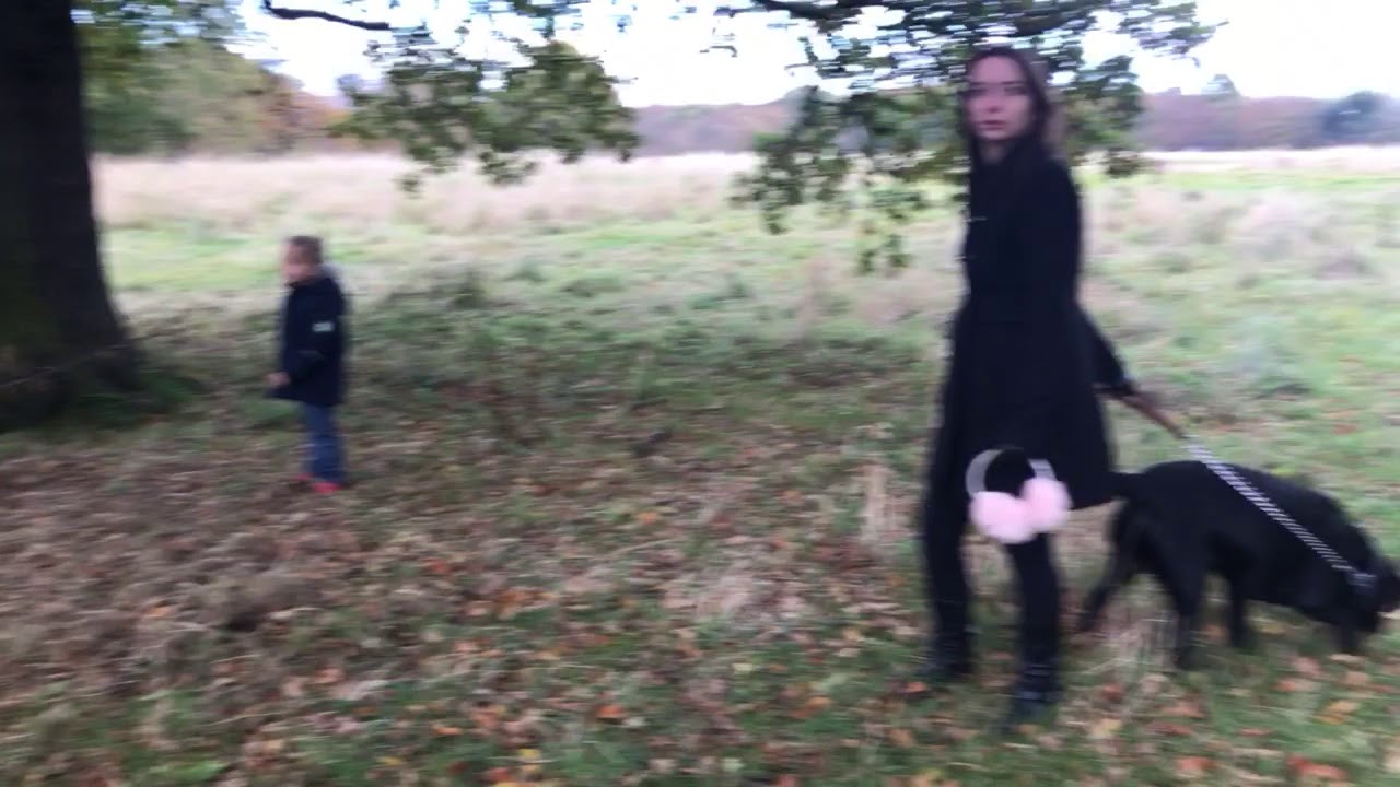 Kirkleatham woods YouTube