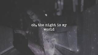 Self Control | Laura Branigan | Lyrics ☾☀