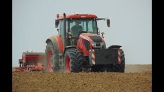 Usługi Rolnicze Maciej Wiśniewski - Siew Rzepaku 2021 Zetor Crystal 170HD/Agro-Tom/Unia/Grano