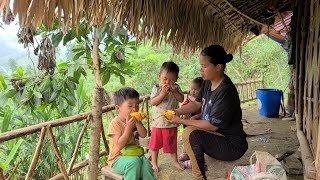 A single mother and three children with nothing to eat went to pick galangal to eat